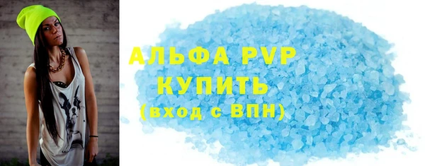 СК Новозыбков