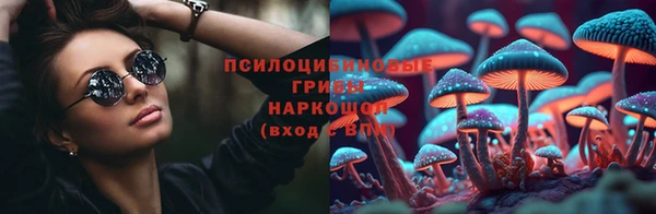 индика Нефтегорск