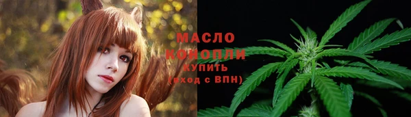 индика Нефтегорск
