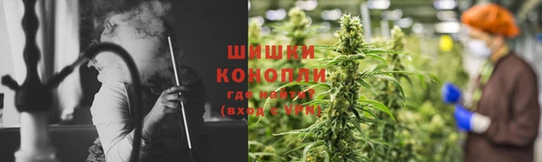 СК Новокубанск