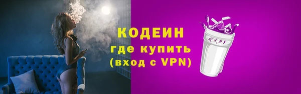 индика Нефтегорск