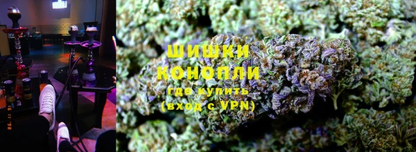 СК Новозыбков