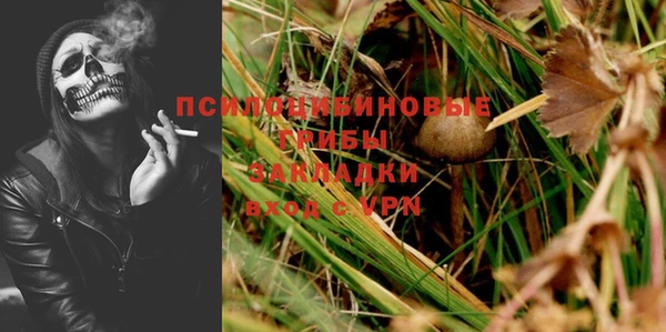индика Нефтегорск