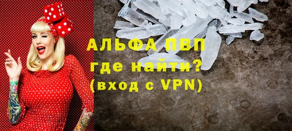 СК Новозыбков