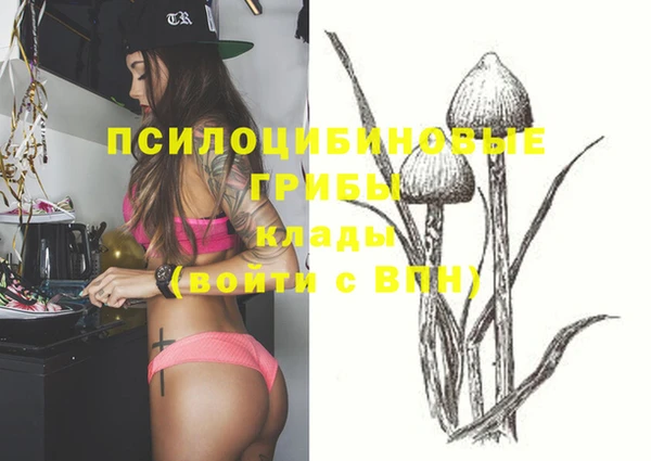 сатива Нефтекумск