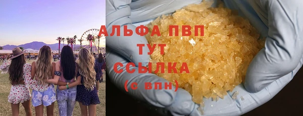 СК Новозыбков