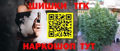 спиды Дубна