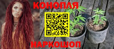 спиды Дубна
